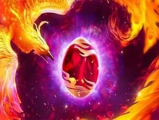 Phoenix Rises
